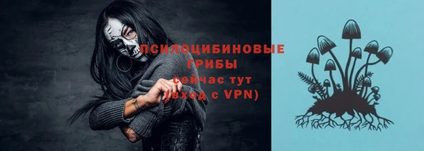 ГАЛЛЮЦИНОГЕННЫЕ ГРИБЫ Баксан