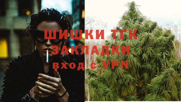 гидропоника Балабаново