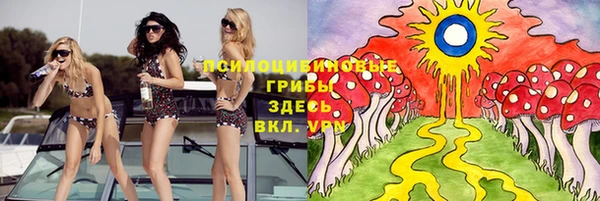 метадон Белокуриха